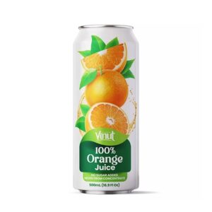 vinut-100-orange-juice-169oz24ct.jpg