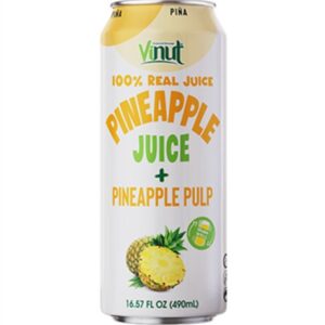 vinut-100-pineapple-wpulp-juice-169oz24ct.jpg