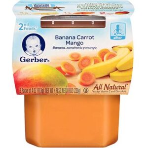 2nd-foods-banana-crt-mango-8-2-4oz-12258921.jpg